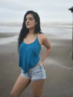 Working Girl ramnagar call girl